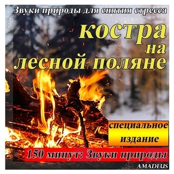 Горный ручей с летних осадков