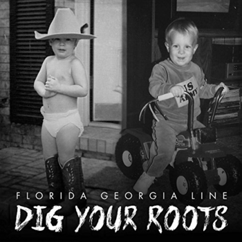 Lifer (Dig Your Roots 2016)