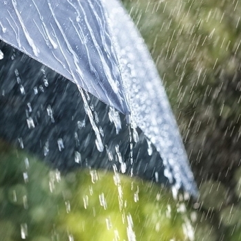 Sleep Through the Downpour