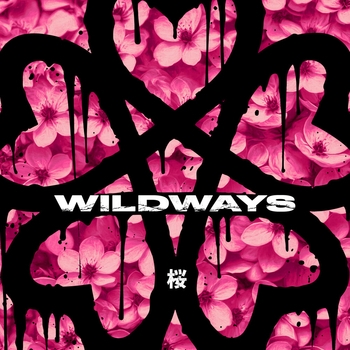 Белым мелом (Сакура 2024)