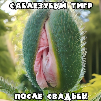 Котята (После свадьбы 2024)