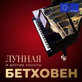 Cello Concerto No.2 in D Major, Hob.VIIb 2: II. Adagio