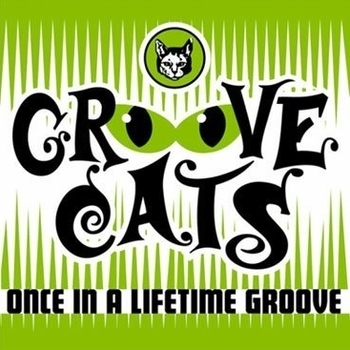Once in a Lifetime Groove