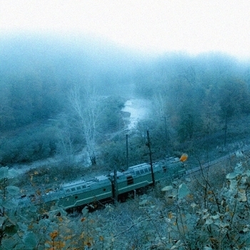 Silent Echoes