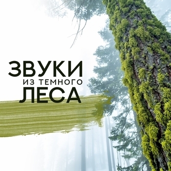 Этнические барабаны