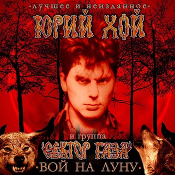 Взял вину на себя
