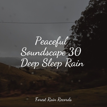 Rain, Trees, Dripping