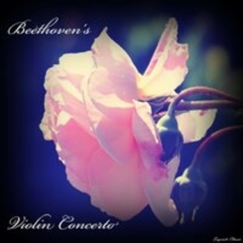 Violin Concerto D Major, Op. 61: I. Allegro ma non troppo