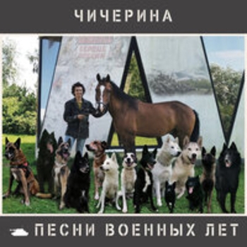 Воздушная гавань