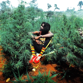 Legalize It