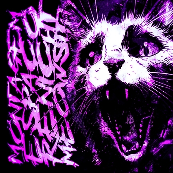 Montagem Espaco Renicht Meowsith (Mega Slowed)