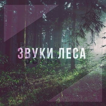 Горный ручей
