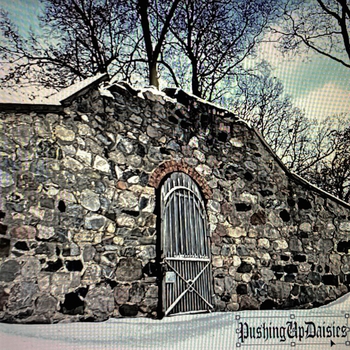P.s. 118 (Pushingupdaisies 2021)