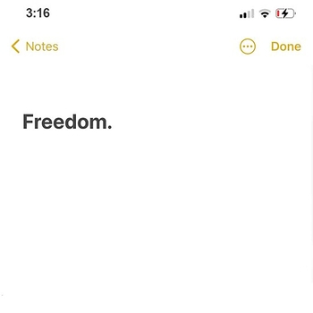 Freedom (Freedom. 2021)