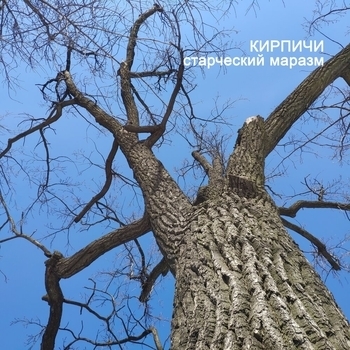Для обеспечения вашей безопасности (Старческий маразм 2021)