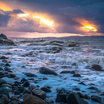 Gentle Ocean Waves