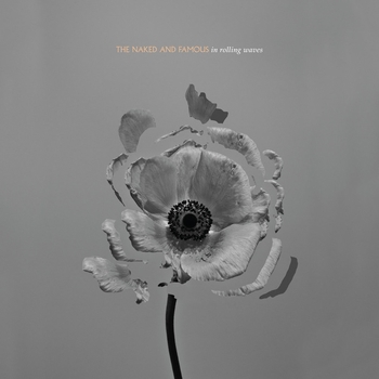What We Want (In Rolling Waves 2013)
