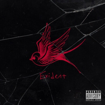 Gfy (Exident 2019)