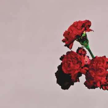 Made To Love (Love In The Future 2013)