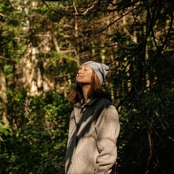 Enchanted Forest