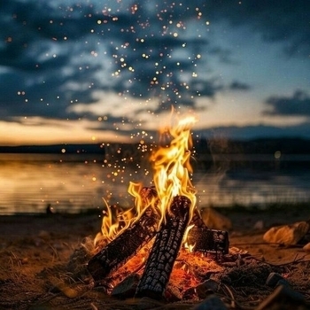 House Fireplace