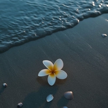Sea and Sand