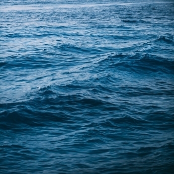 Sounds of the Ocean