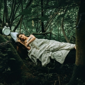 Asleep in the Forest
