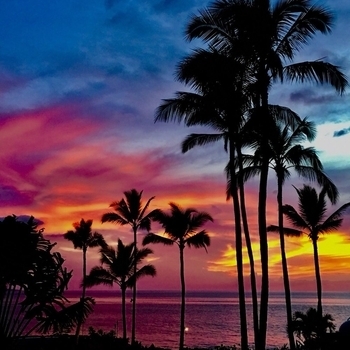 Blue Hawaii