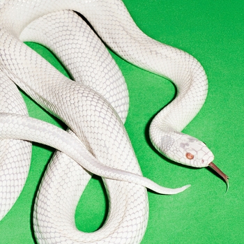 Ecdysis