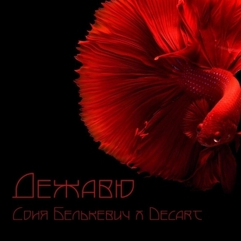 Дежавю