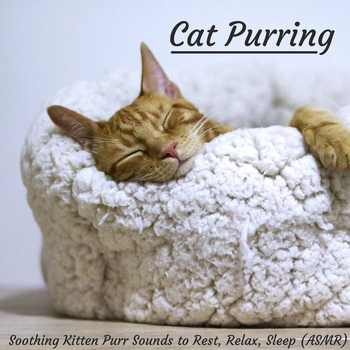 Feline Purr Sound with Brown Noise for Deep Rem Sleep