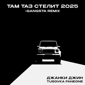 Там таз стелит 2025