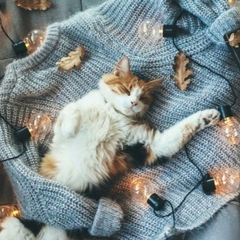 Rest