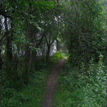 Ruins