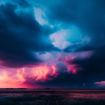 Summer night