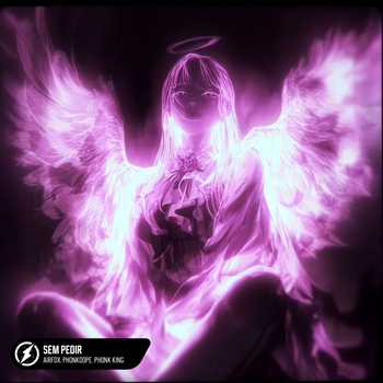 Sem Pedir (Slowed)