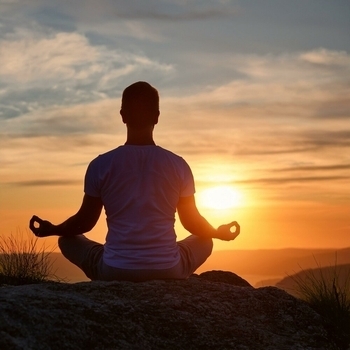 The Pulse Beneath The Calm