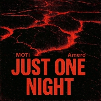 Just One Night