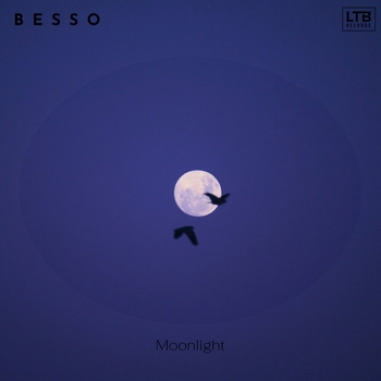 Moonlight