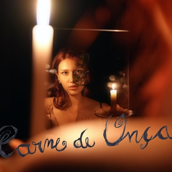 Carne De Onça