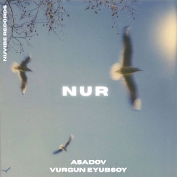 Nur