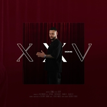 Прайс XXV