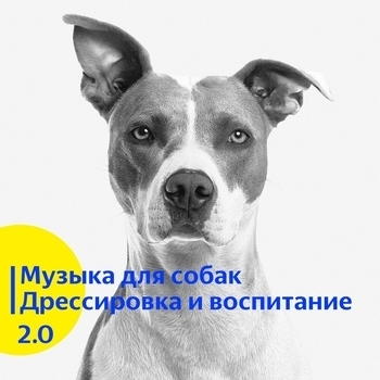 Музыка для собак. Если питомец дома один. vol 3