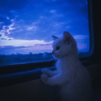 echo of the rails (slowed)