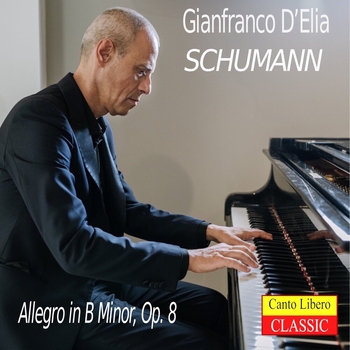 Allegro in B Minor, Op. 8
