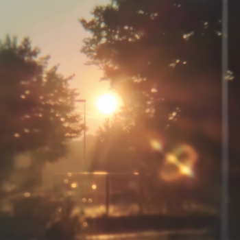 Light of Childhood