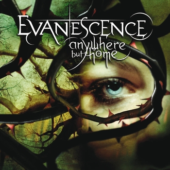 Bring Me To Life (Live in Europe)