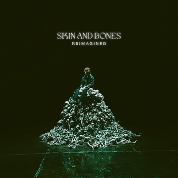 Skin and Bones (Instrumental)