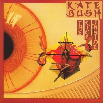 Kite